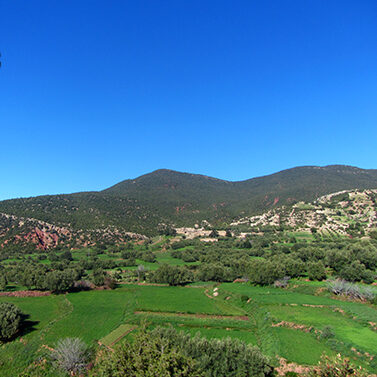 atlas moutnains morocco, green and with blue sky, red earth