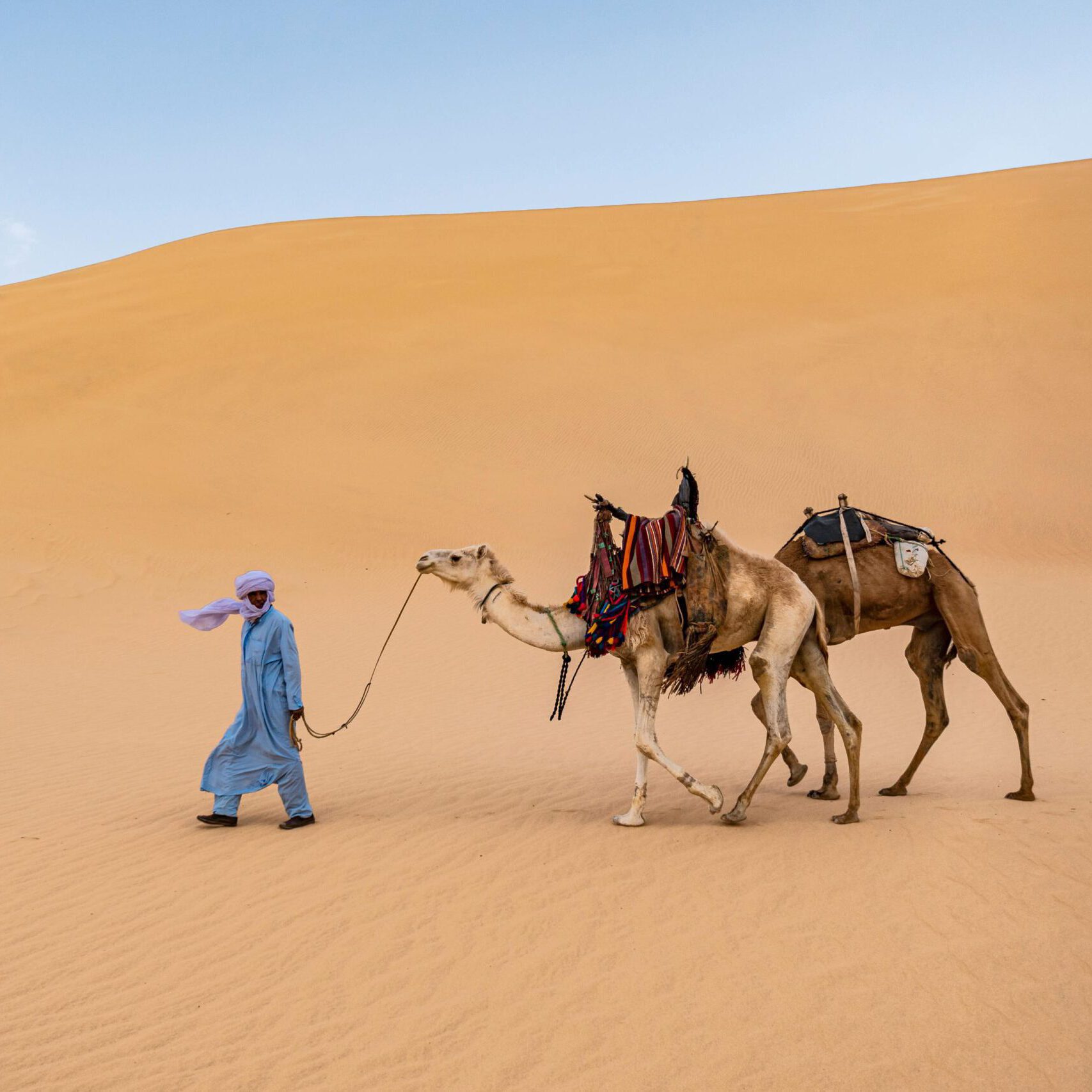 nomad with camel in the sahara desert