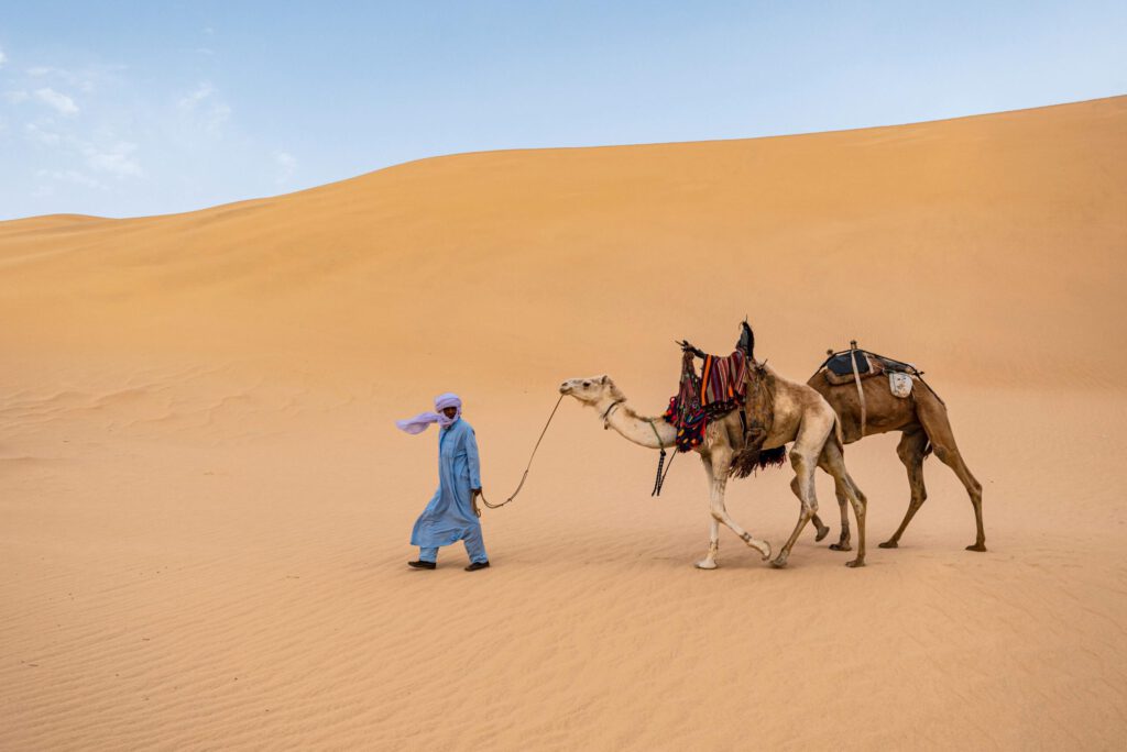 nomad with camel in the sahara desert