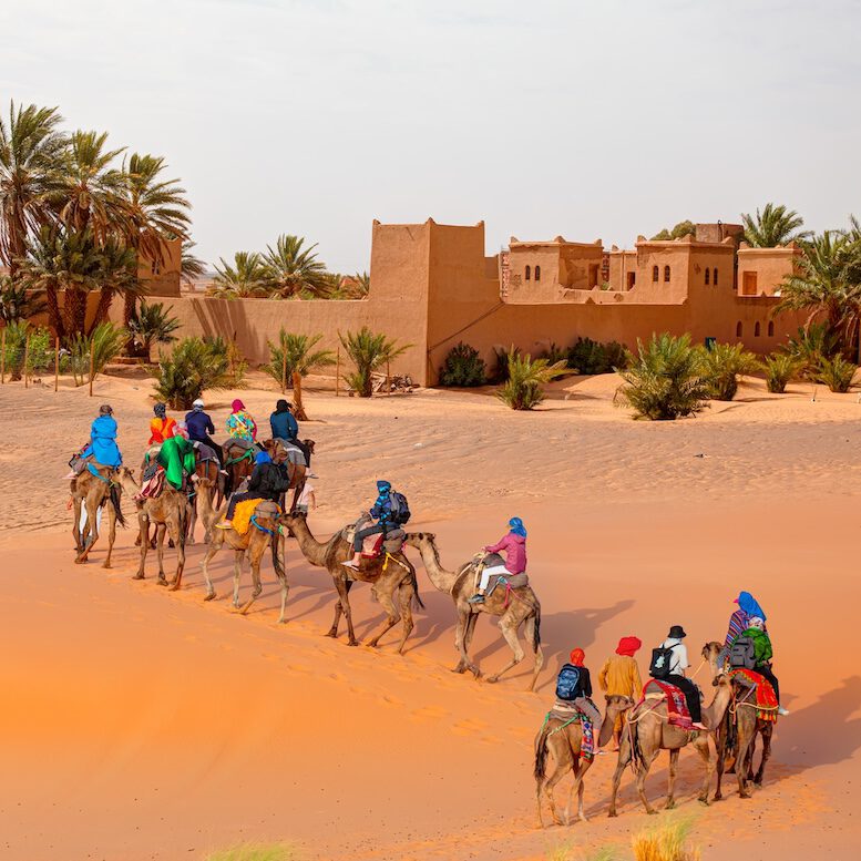 camle trek towards kasbah