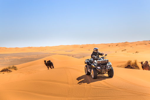 quad in the sahara desert, in erg chebbi dunes